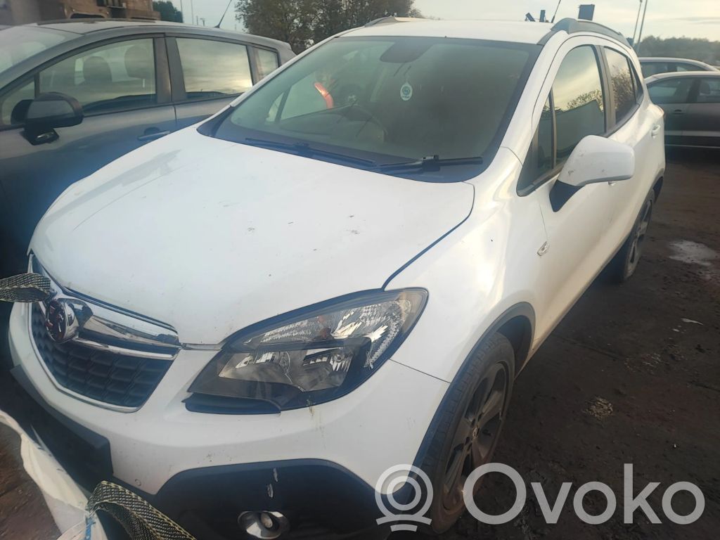 Mokka Mokka  13354532