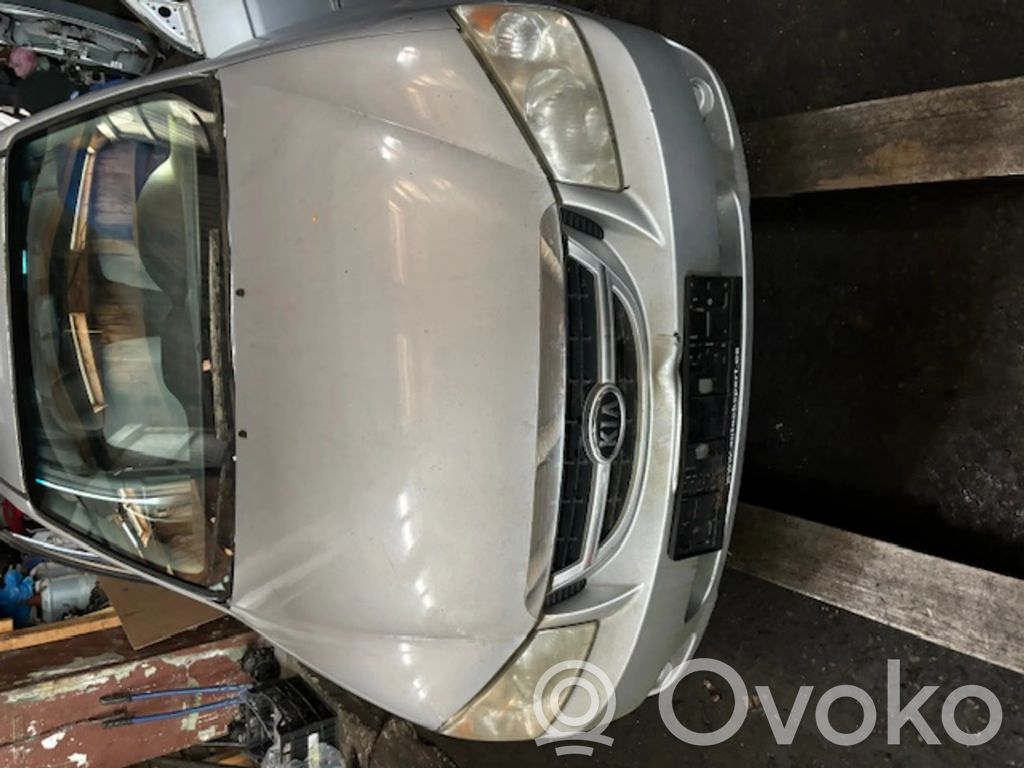 Cerato Cerato  051011
