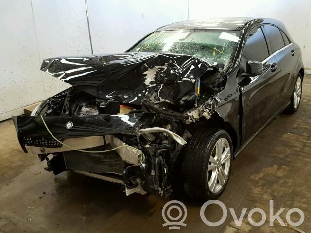 A W176 A-class  A1667500993