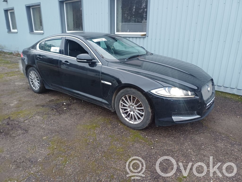 XF X250 XF  CX239D375BA