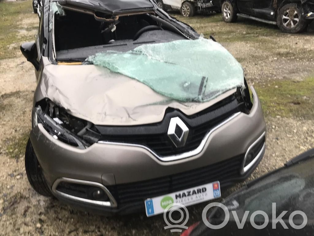 Captur Captur  484006599R