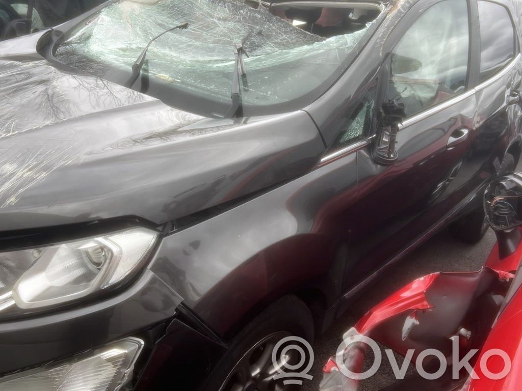 Ecosport Ecosport  2139285