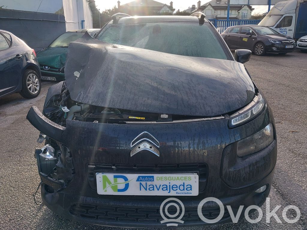 C4 Cactus C4 Picasso, Grand Picasso, Aircross, Cactus  9801012980