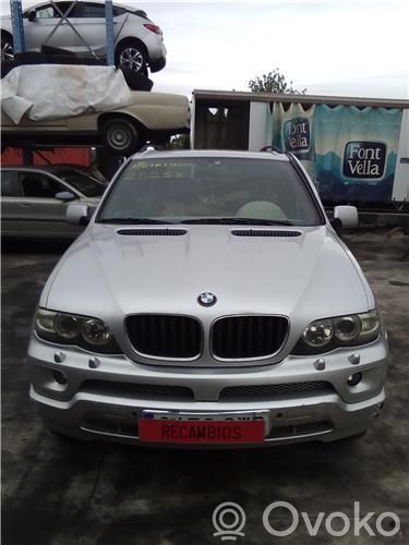 X5 E53 X5  61318376