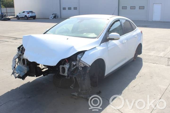 Focus Focus  921760102