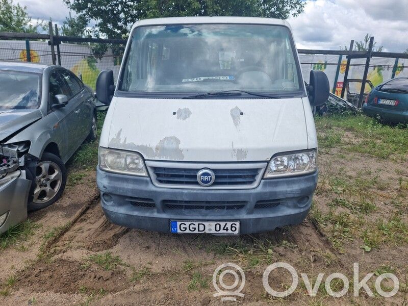 Ducato Ducato