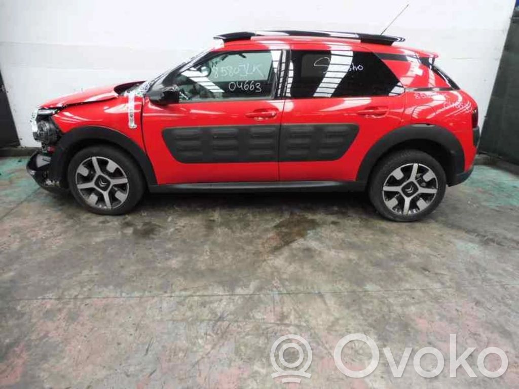 C4 Cactus C4 Picasso, Grand Picasso, Aircross, Cactus  016903