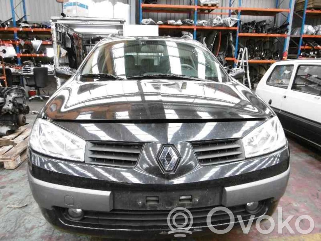 Megane II Megane  8200495294