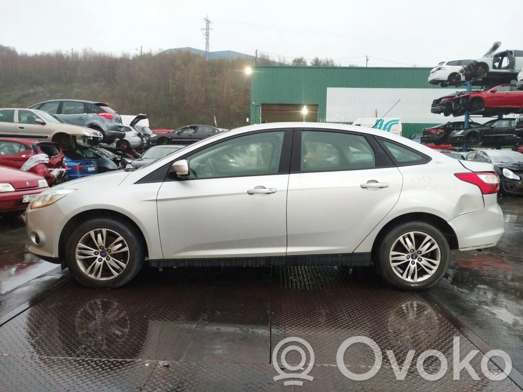Focus Focus  921760102