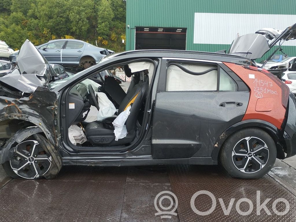 Niro Niro  429512B020