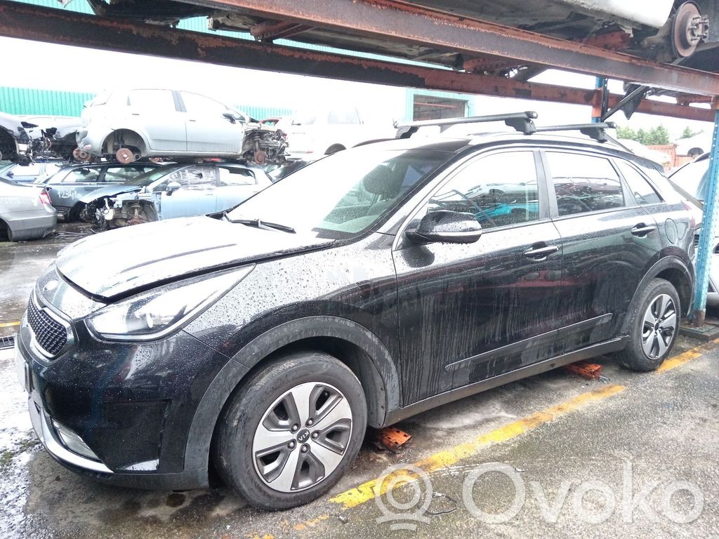 Niro Niro  391A503DL8