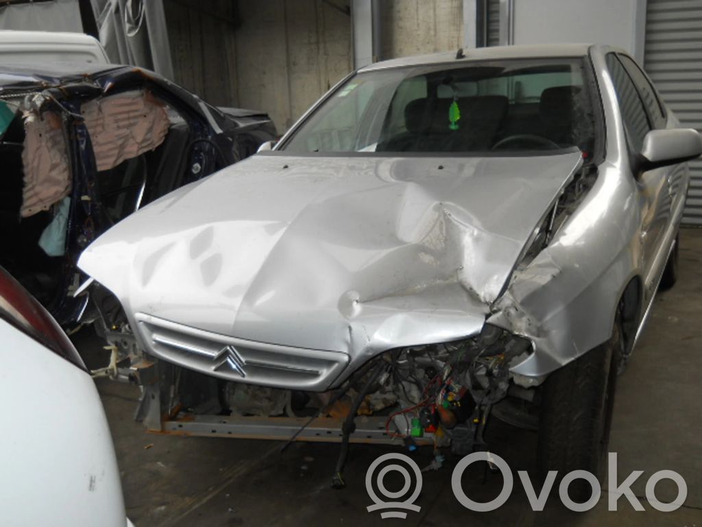 Xsara Xsara, Xsara Picasso