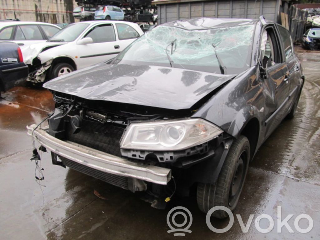 Megane II Megane  265800519