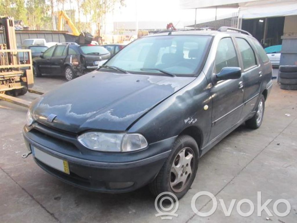 Palio Palio  258006206