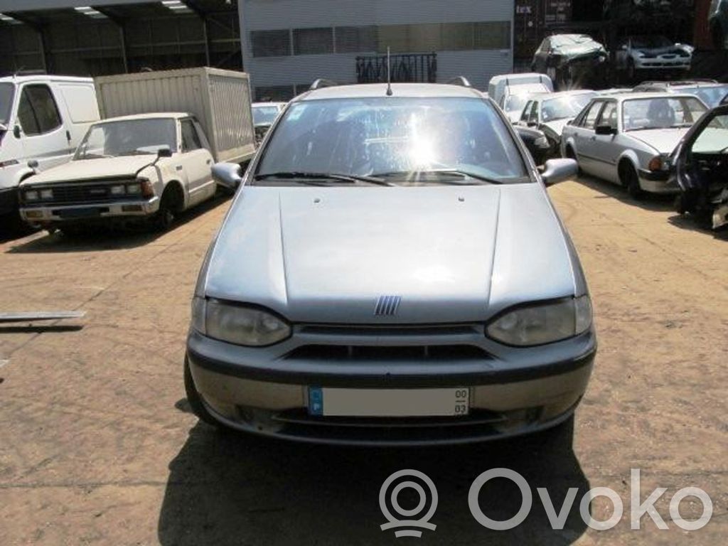Palio Palio