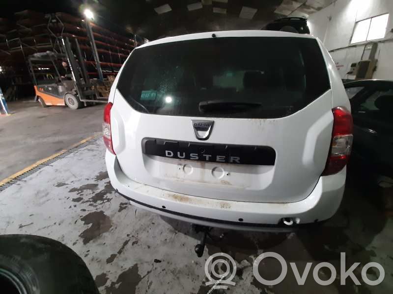 Duster Duster  0501851