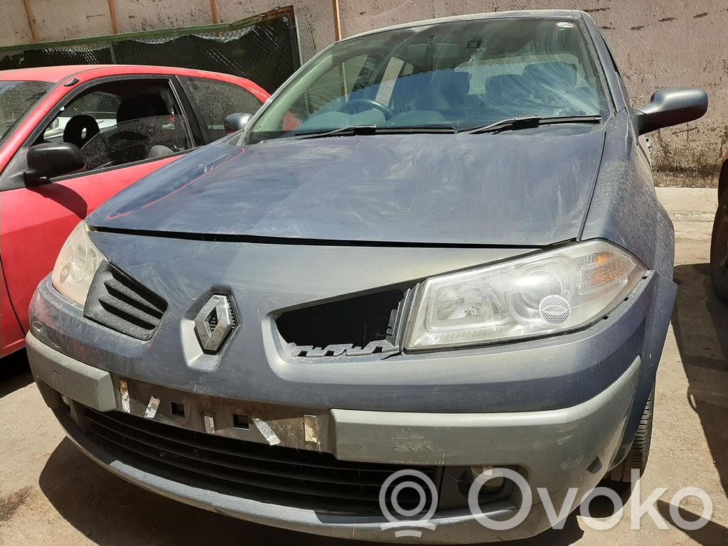 Megane II Megane  55561503