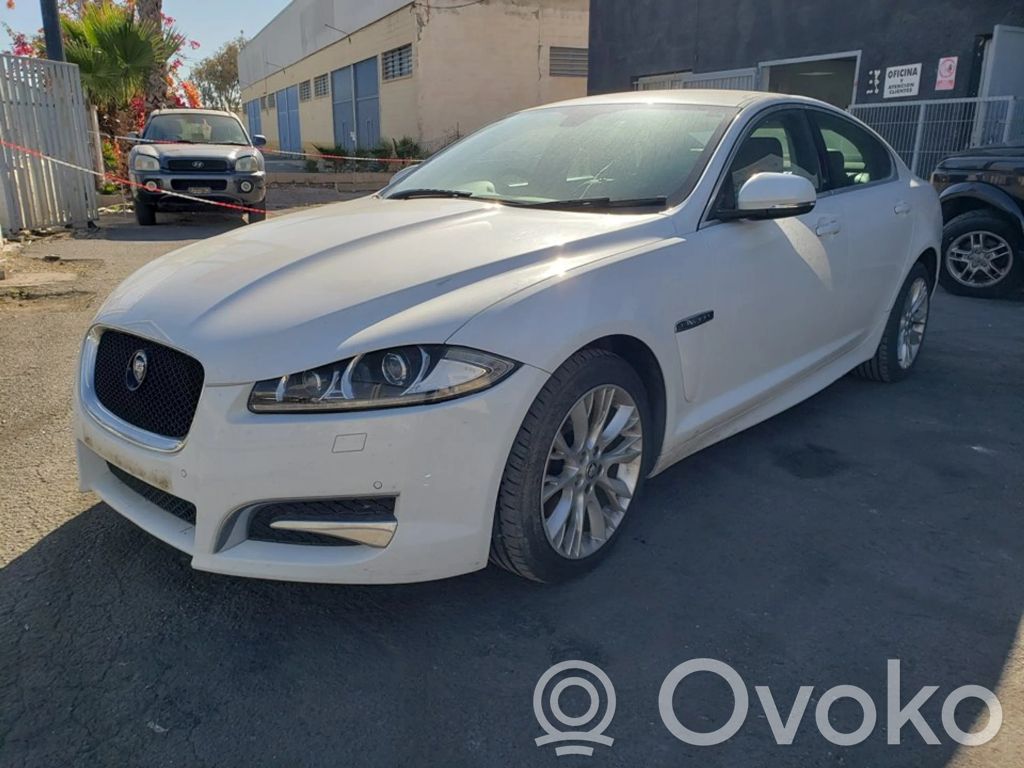 XF X250 XF  8W936C624BG