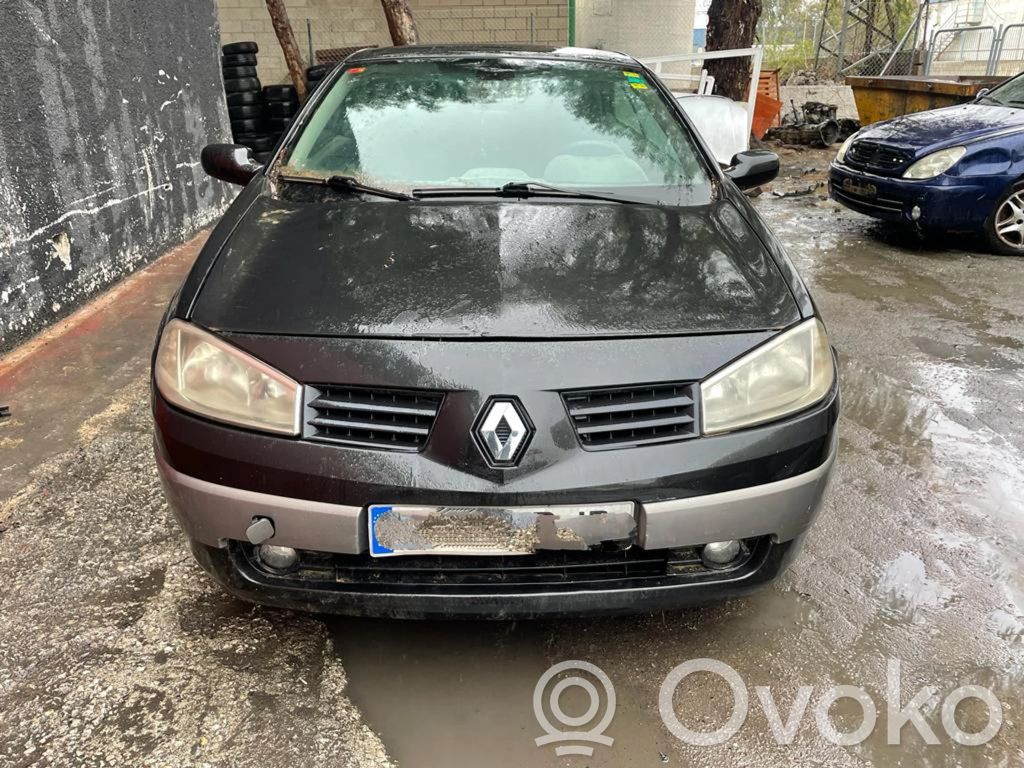 Megane II Megane  8200038695