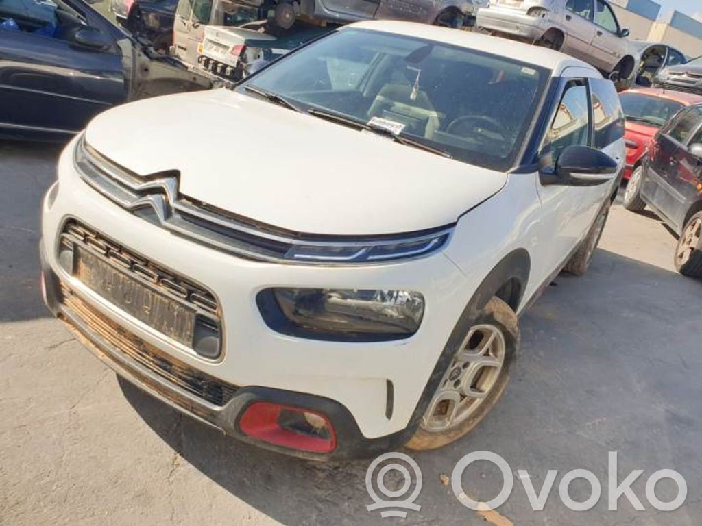 C4 Cactus C4 Picasso, Grand Picasso, Aircross, Cactus  98312695ZD