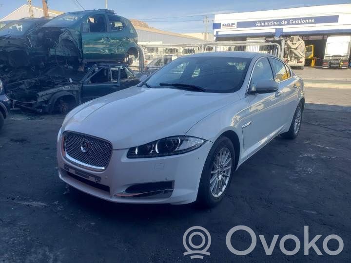 XF X250 XF  0281019172