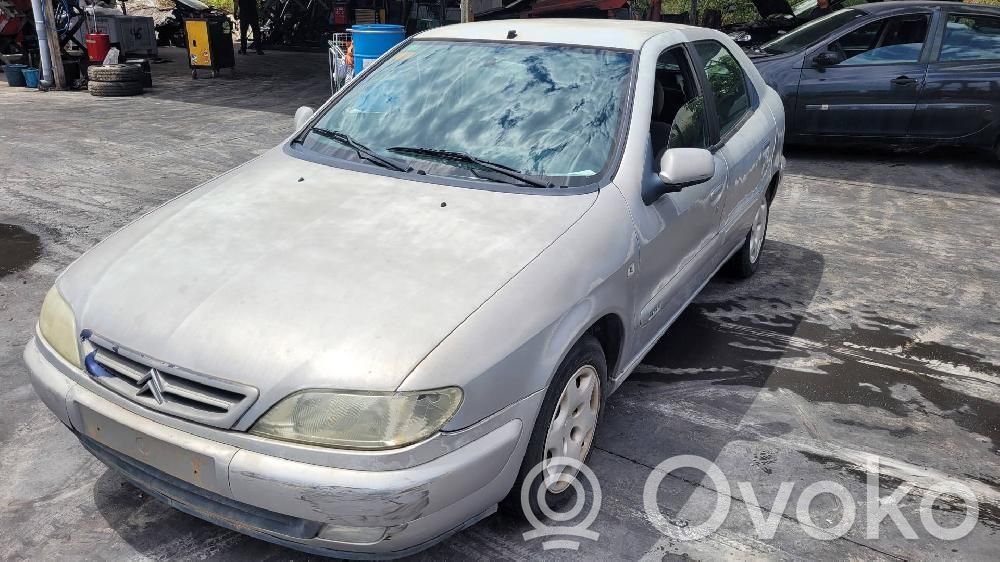 Xsara Xsara, Xsara Picasso