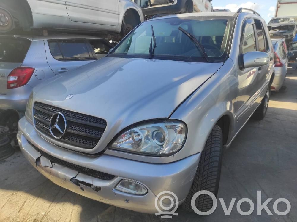 ML W163 ML-class, AMG (W163, W164, W166)