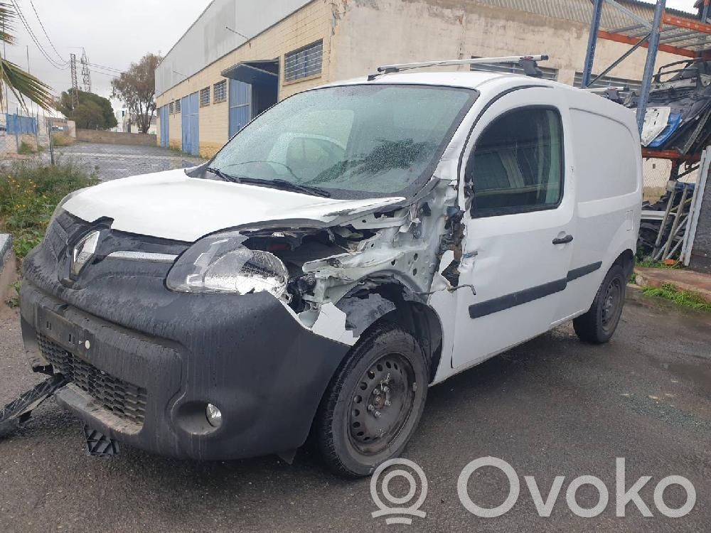 Kangoo II Kangoo  295109788R