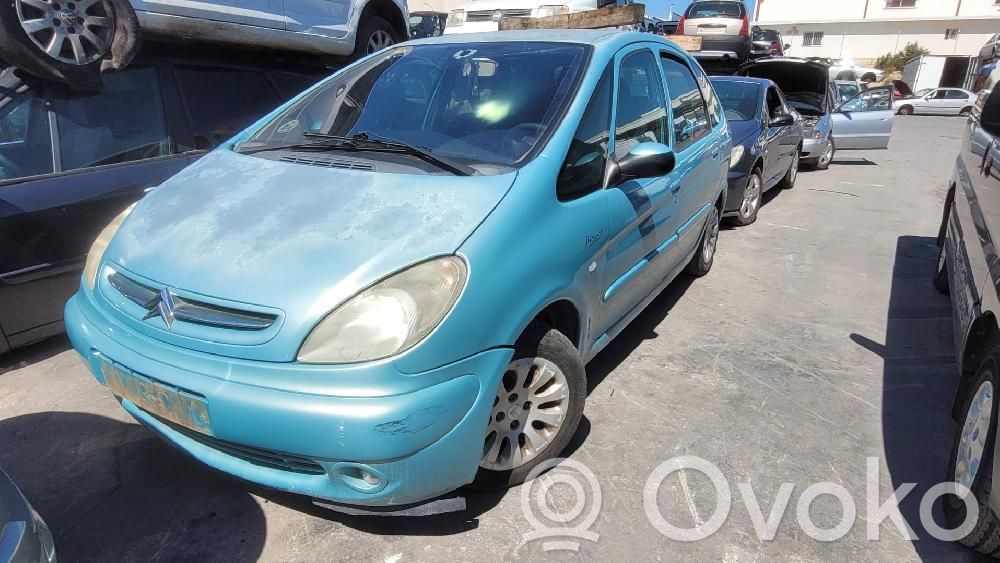 Xsara Xsara, Xsara Picasso