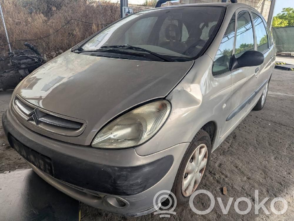 Xsara Xsara, Xsara Picasso  1037016