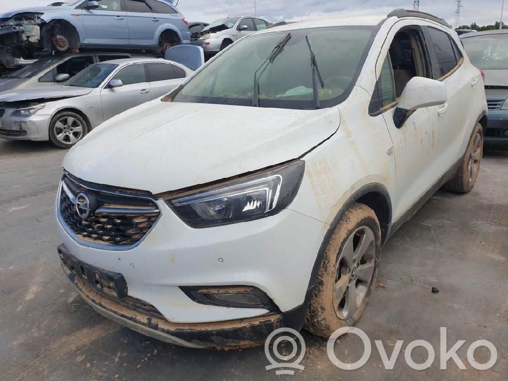 Mokka X Mokka  42563014