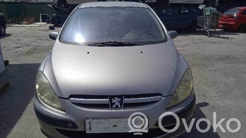 307 307  25020416
