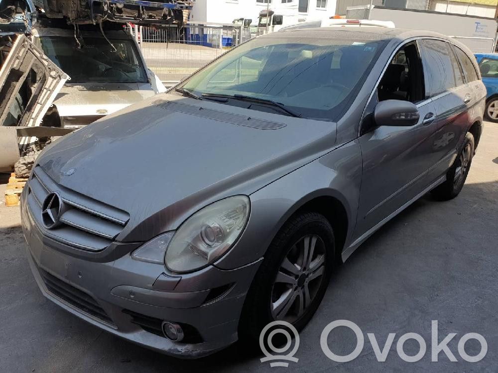 R W251 R-class, AMG (W251)  A1643000004