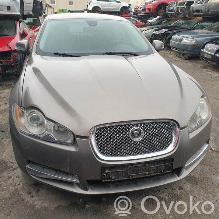 XF X250 XF  8X2310E889AD