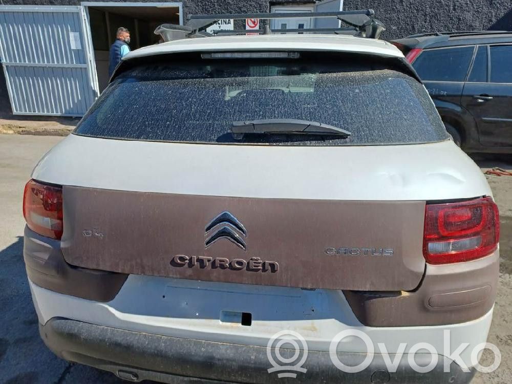 C4 Cactus C4 Picasso, Grand Picasso, Aircross, Cactus  32069745