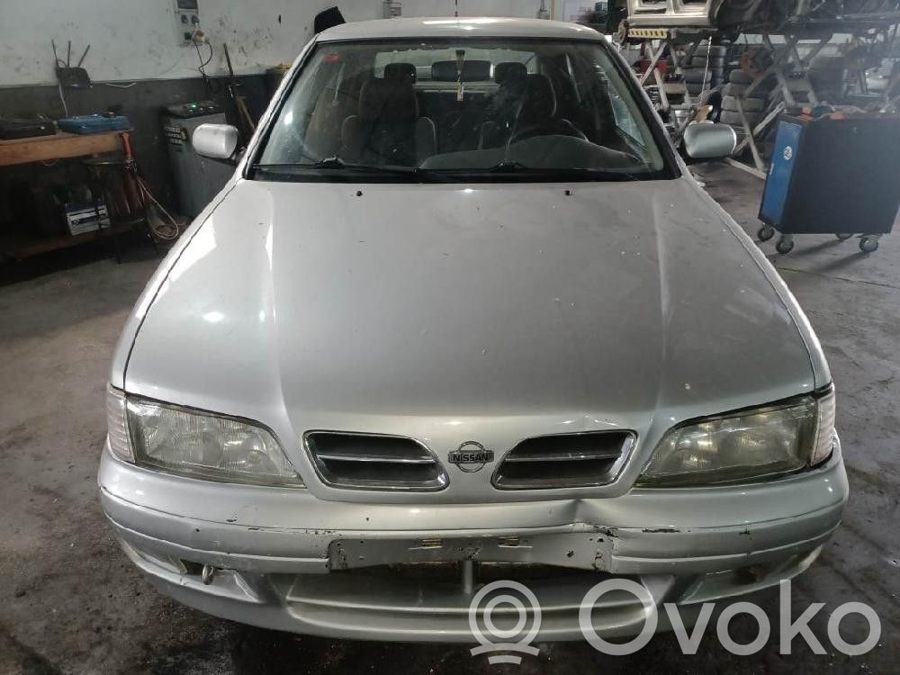Primera Primera  248102F812