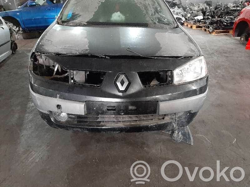 Megane II Megane  8200344840