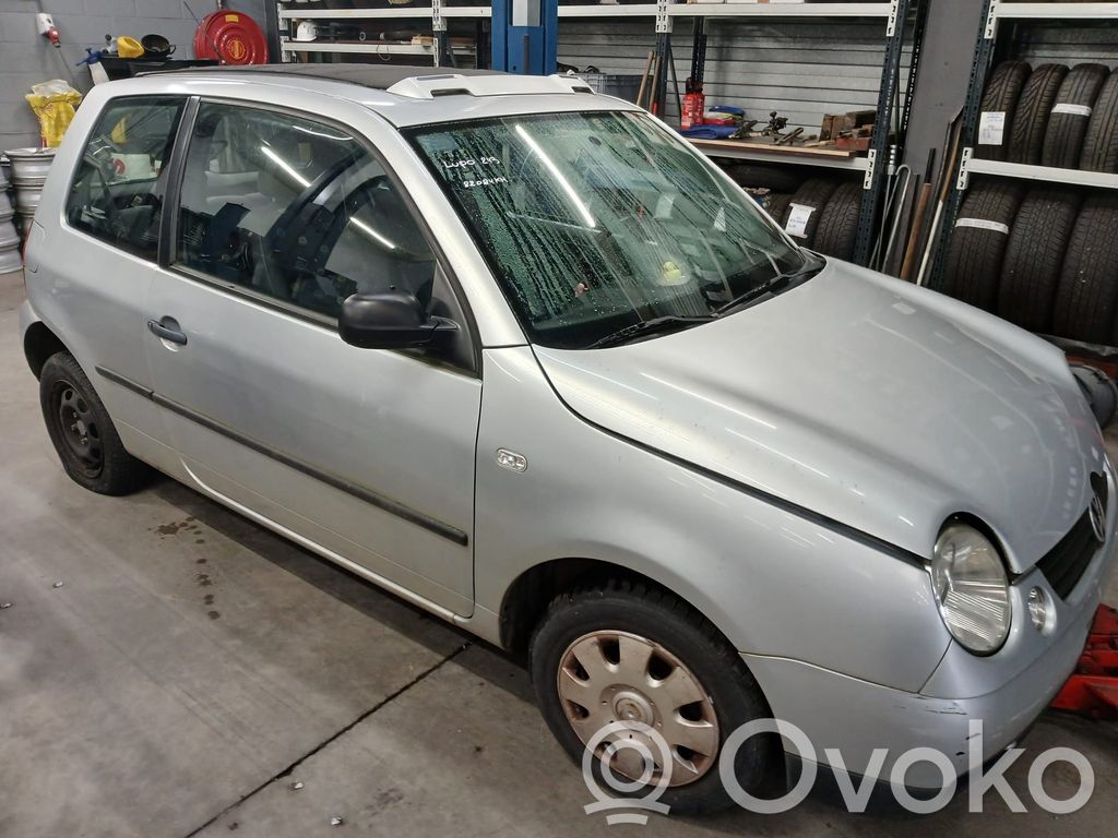 Lupo Lupo  6N0422154E