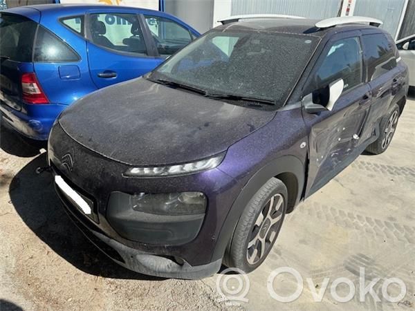 C4 Cactus C4 Picasso, Grand Picasso, Aircross, Cactus