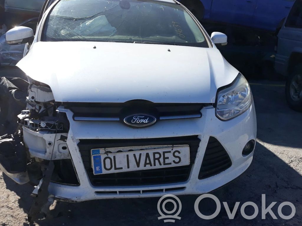 Focus Focus  1859062