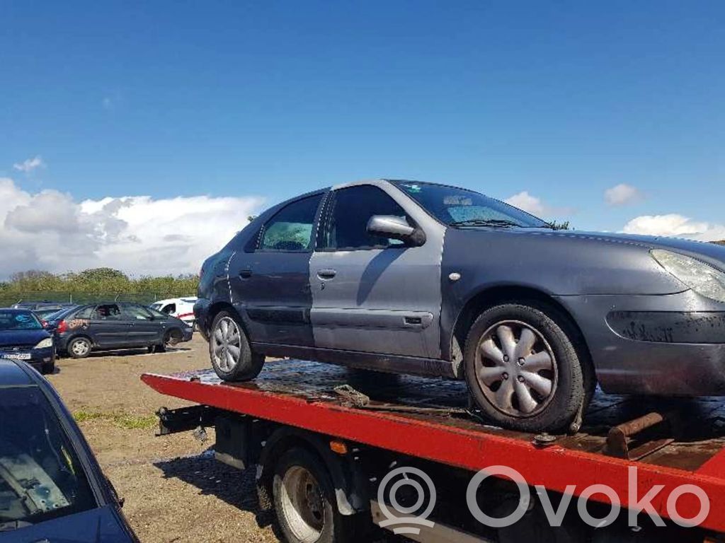 Xsara Xsara, Xsara Picasso