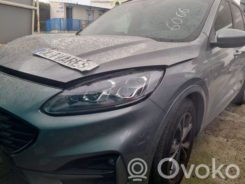 Kuga III Kuga  2375995