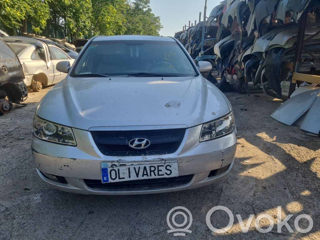 Sonata Sonata  811303K010