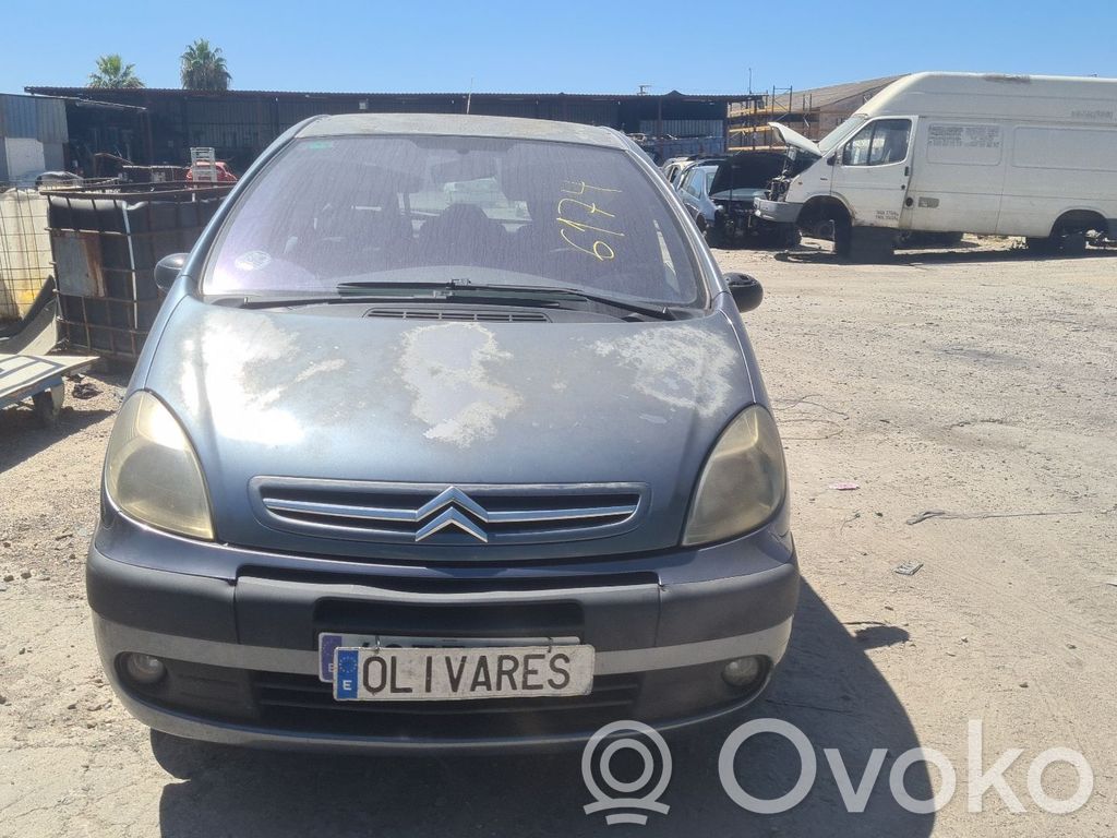 Xsara Xsara, Xsara Picasso  793452