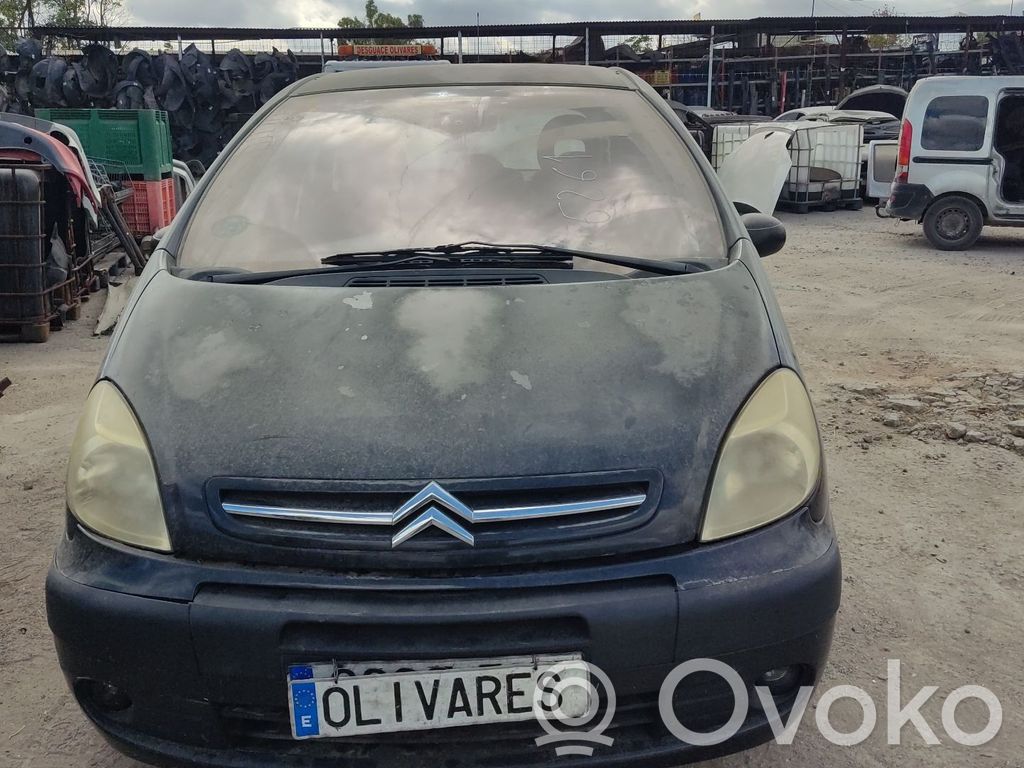 Xsara Xsara, Xsara Picasso  1663649780