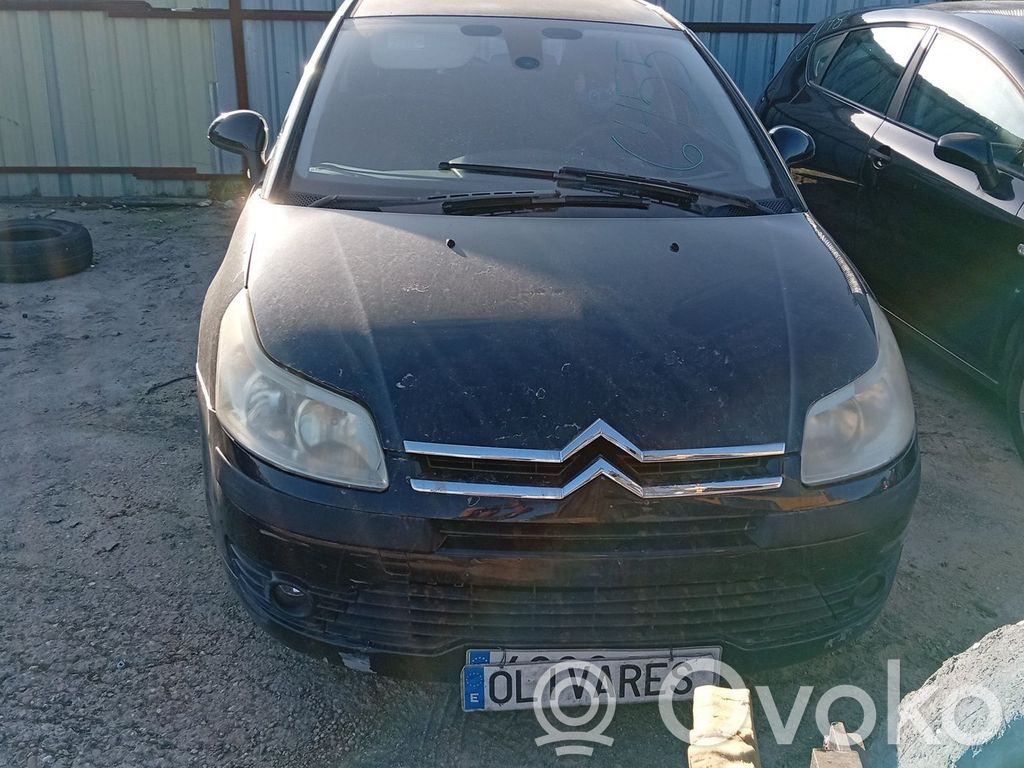 C4 I Picasso C4 Picasso, Grand Picasso, Aircross, Cactus  7841S2