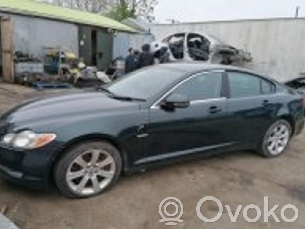 XF XF  6PV00969803
