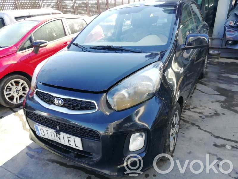 Picanto Picanto  973501Y000