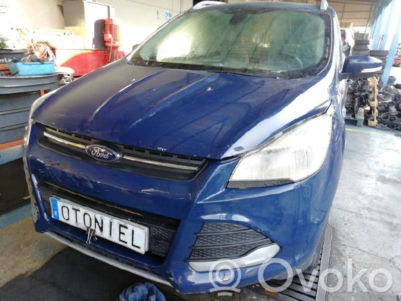 Kuga II Kuga  1845279
