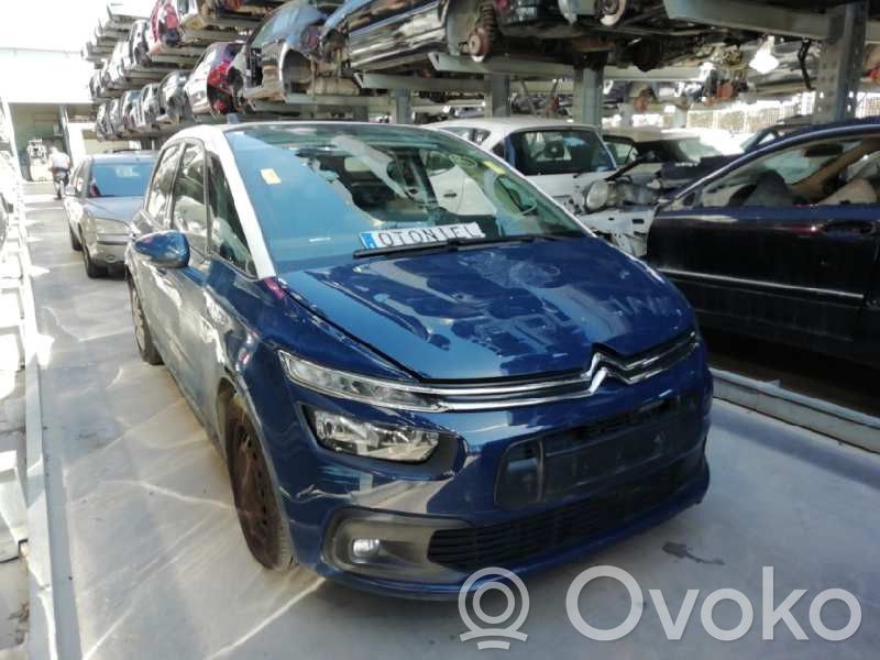 C4 Cactus C4 Picasso, Grand Picasso, Aircross, Cactus  6228092